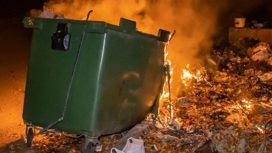 Опасавшийся порчи мужчина сжег 33 мусорных контейнера