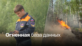 В России появится единая информсистема о пожарах