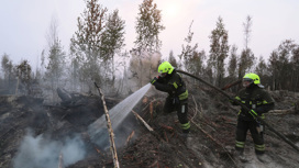 В Рязанской области создали 100-километровую линию обороны от огня