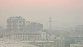 Юго-восточный ветер опять накрыл Москву дымом