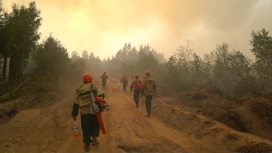 Лесные пожары в Рязанской области пошли на спад