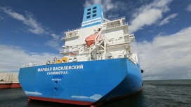 Под защитой Маршала