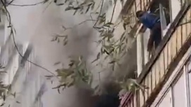 Спасение москвички из горящей квартиры сняли на видео