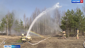 В Ивановской области загорелся лес