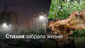 Жертвами урагана в Курской области стали два человека