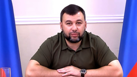 Пушилин: ДНР в составе России сохранит свое нынешнее название