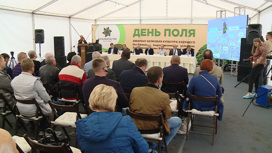 В Волгоградской области реализуется инвестпроект по производству амаранта