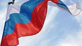 Авторские материалы