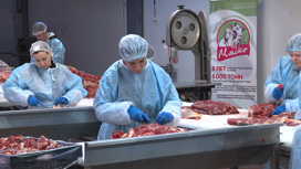 В Астраханской области комбинат производит до 30 тонн мяса в сутки