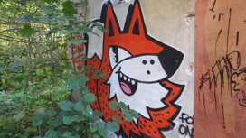В Калининграде создали приложение для выявления незаконных граффити