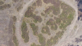 На границе Оренбургской и Челябинской области обнаружены остатки древнего города