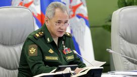 Министры обороны России и Великобритании обсудили ситуацию на Украине