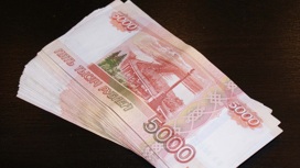 Директора ярославской фирмы подозревают в неуплате налогов на 63,8 млн