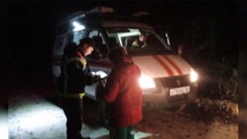 Саратовские спасатели вывели из леса 4 заблудившихся грибников