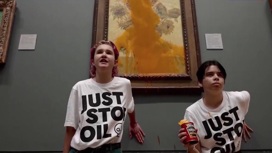 Экоактивистов наказали за повреждение рамы картины Ван Гога