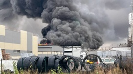 Пожарные остановили распространение огня на складе под Ногинском