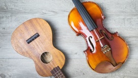 "Звуки добра": на Ямале ищут музыкальные инструменты для школы искусств в ДНР