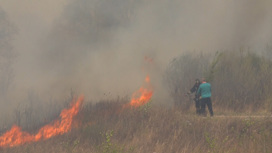 В Амурской области выгорело более 140 гектаров сухой травы