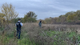 В Ростовской области нашли изрезанное тело 12-летней девочки