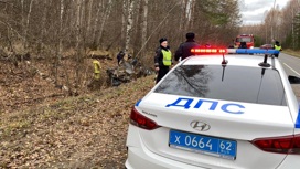 Четыре человека погибли в перевернувшейся легковушке в Рязанской области