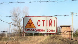 Украина смягчит правила посещения туристами Чернобыльской АЭС
