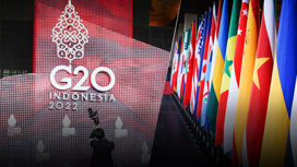 Индонезия уважает решение Путина не ехать на саммит G20
