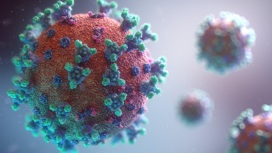 Во время пандемии многие не могли поверить, что учёные могут и отслеживают даже отдельные вирусные частицы.