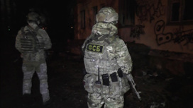 В Воронеже уничтожены готовившие теракт диверсанты СБУ