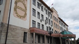 В Казани арестована мать, истязавшая ребенка ради мести экс-сожителю