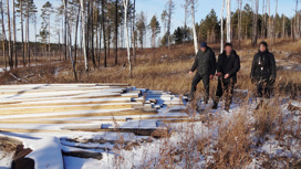 Черные лесорубы спилили деревья на 13,5 млн рублей в Магдагачинском районе