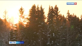 Метеорологи рассказали, какую погоду ждать в Карелии в декабре