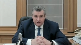 Слуцкий: важно не поддаваться на провокации коллективного Запада