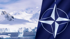 НАТО может готовить провокацию в Арктике