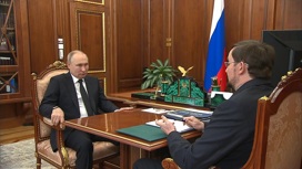 Владимир Путин встретился с главой "Деловой России"