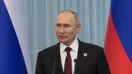 Президент России о потолке цен: потерь у нас не будет
