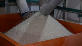 На рисовом заводе в с. Гойты создана современная промышленная цепочка.