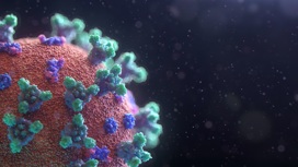 За последние сутки 2022 года в Марий Эл выявлено 23 случая заражения коронавирусом