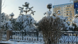 Узбекистан переживает аномальные морозы