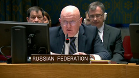 Заседание в ООН по ситуации на Украине