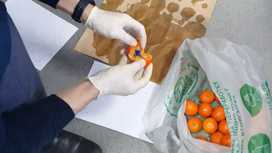 Полиция в Иванове обнаружила партию мандаринов с наркотиками (видео)