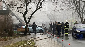 Власти Украины уточнили данные о жертвах крушения вертолета под Киевом