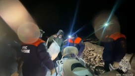 Три человека заблудились в тайге во время сбора шишек