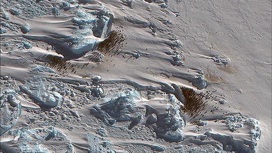 Снимок колонии с помощью спутника Maxar WorldView-3, сделанный 8 октября 2021 года.