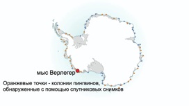 Карта Антарктиды с известными колониями императорских пингвинов.