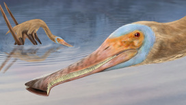 Открыт новый вид птерозавров с китовой челюстью