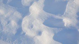 В Суздале обнаружены грубые нарушения санитарных правил содержания площадок для складирования снега