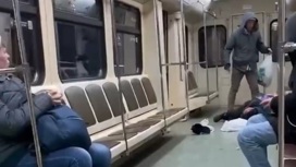Пассажиры московского метро устроили драку в вагоне поезда