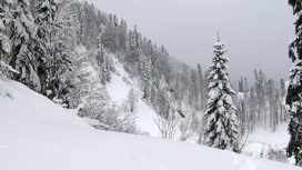 В горах Сочи выпало до 8 сантиметров снега за ночь