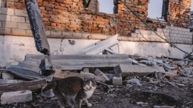 Украинские минометчики нанесли удар по поселку в Курской области
