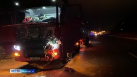 В Марий Эл грузовик насмерть сбил идущего по середине дороги пешехода